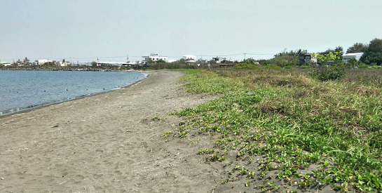 執行向海致敬政策清潔維護海岸環境，獲行政院評定特優機關