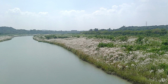 配合 112 年憲判字第 20 號判決保障民眾財產權意旨，本署經管原為私有浮覆地相關案件處理方式