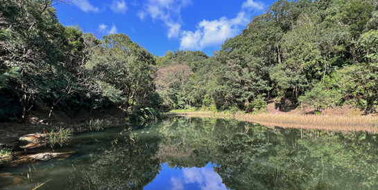 公私協力守護國有地，共創環境生態永續願景
